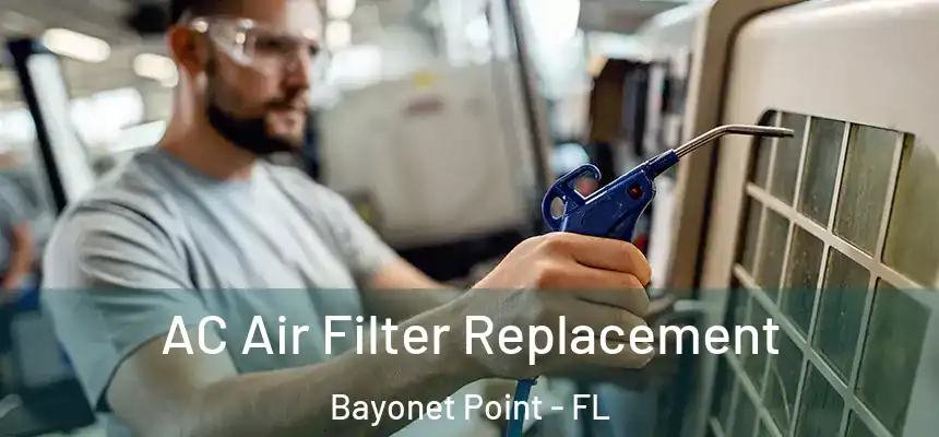 AC Air Filter Replacement Bayonet Point - FL