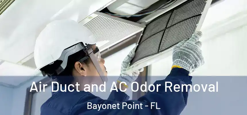Air Duct and AC Odor Removal Bayonet Point - FL