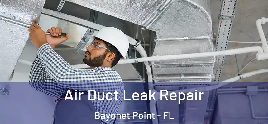 Air Duct Leak Repair Bayonet Point - FL