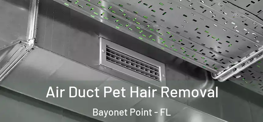 Air Duct Pet Hair Removal Bayonet Point - FL