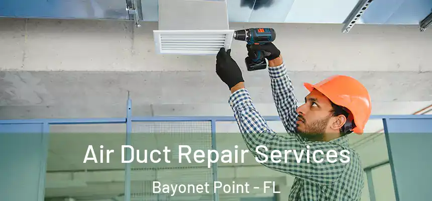 Air Duct Repair Services Bayonet Point - FL