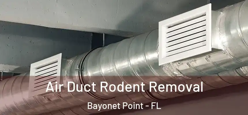 Air Duct Rodent Removal Bayonet Point - FL