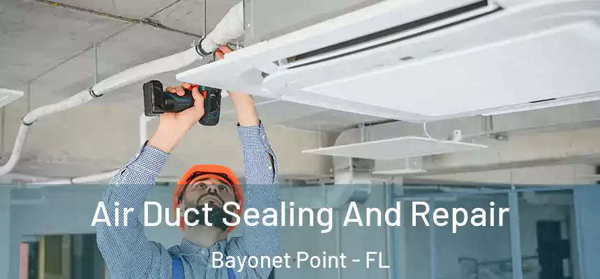Air Duct Sealing And Repair Bayonet Point - FL