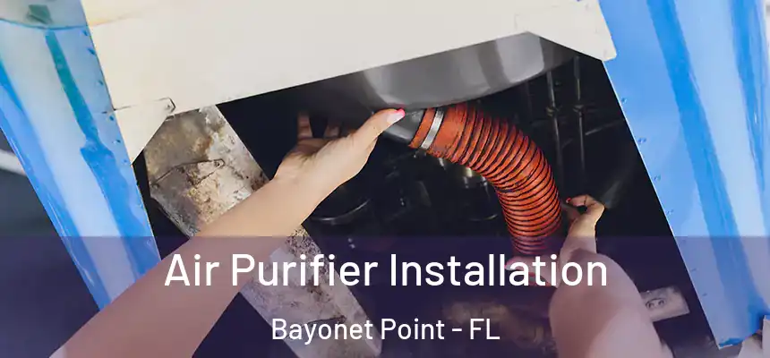 Air Purifier Installation Bayonet Point - FL