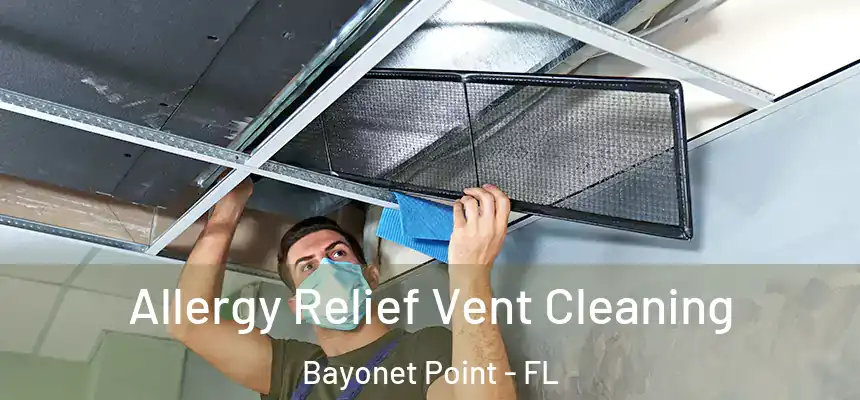 Allergy Relief Vent Cleaning Bayonet Point - FL
