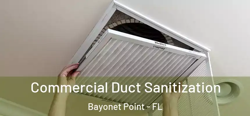Commercial Duct Sanitization Bayonet Point - FL
