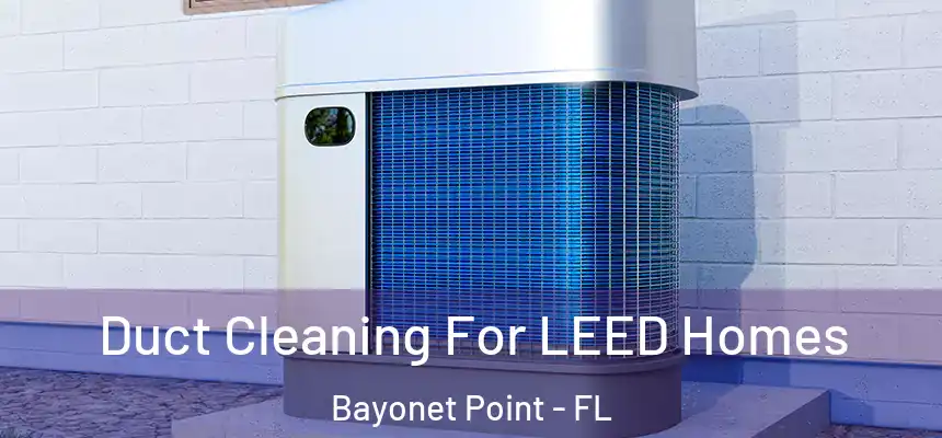 Duct Cleaning For LEED Homes Bayonet Point - FL