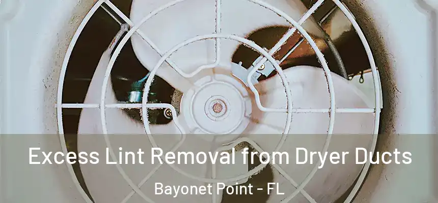 Excess Lint Removal from Dryer Ducts Bayonet Point - FL