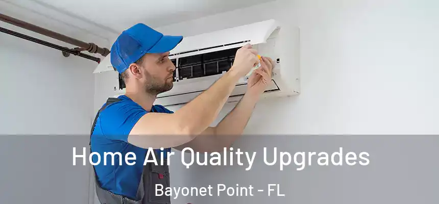 Home Air Quality Upgrades Bayonet Point - FL