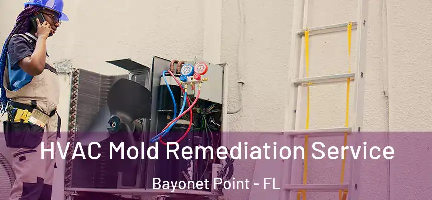 HVAC Mold Remediation Service Bayonet Point - FL