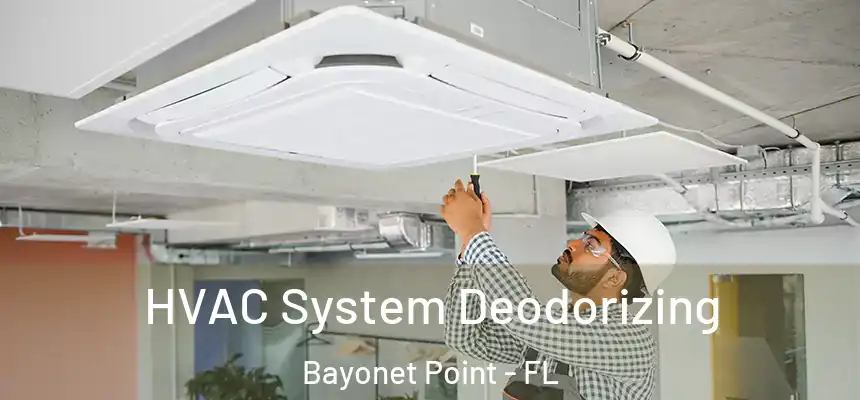 HVAC System Deodorizing Bayonet Point - FL