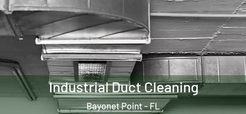 Industrial Duct Cleaning Bayonet Point - FL