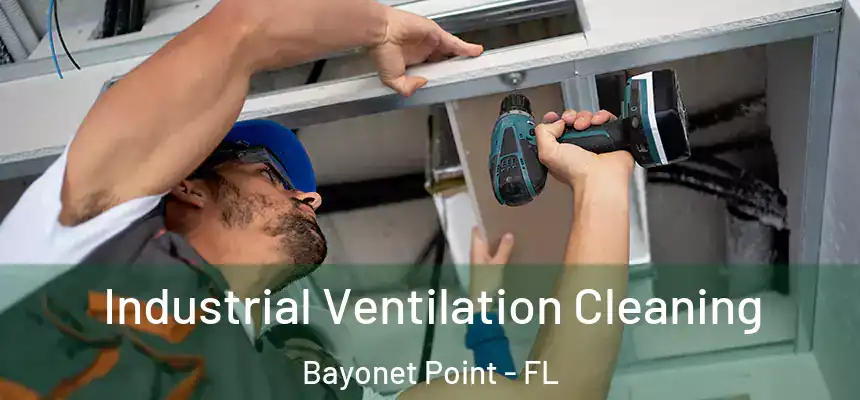 Industrial Ventilation Cleaning Bayonet Point - FL