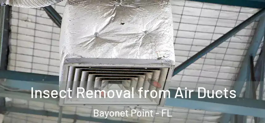 Insect Removal from Air Ducts Bayonet Point - FL