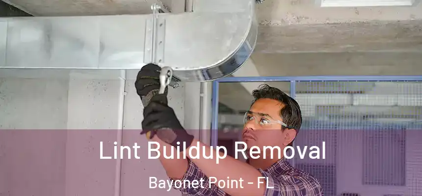 Lint Buildup Removal Bayonet Point - FL
