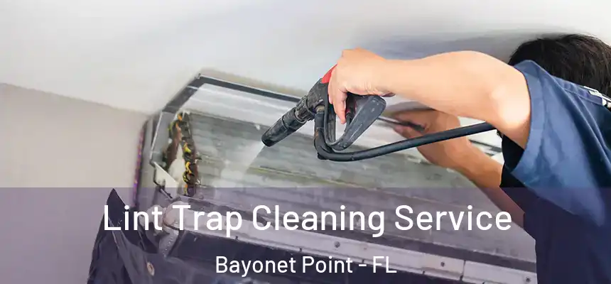 Lint Trap Cleaning Service Bayonet Point - FL