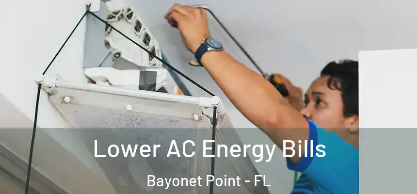 Lower AC Energy Bills Bayonet Point - FL