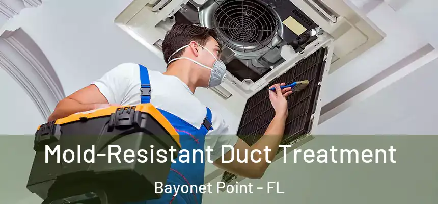 Mold-Resistant Duct Treatment Bayonet Point - FL