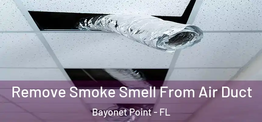 Remove Smoke Smell From Air Duct Bayonet Point - FL
