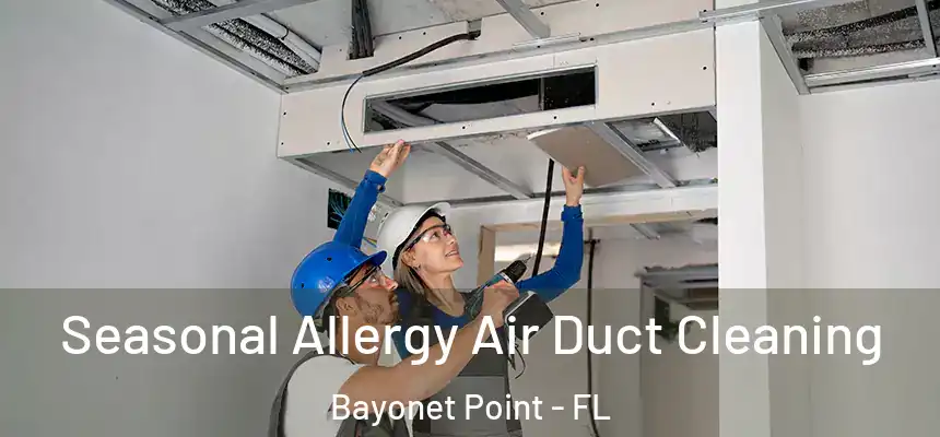 Seasonal Allergy Air Duct Cleaning Bayonet Point - FL