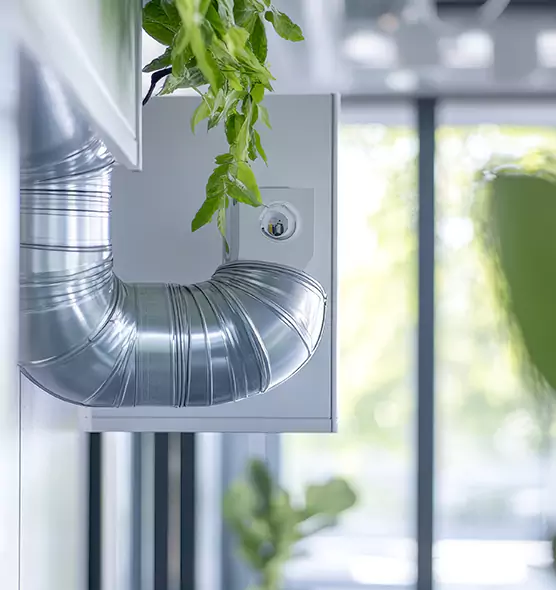 Professional Eco-Safe Dryer Vent Cleaning in Bayonet Point, FL