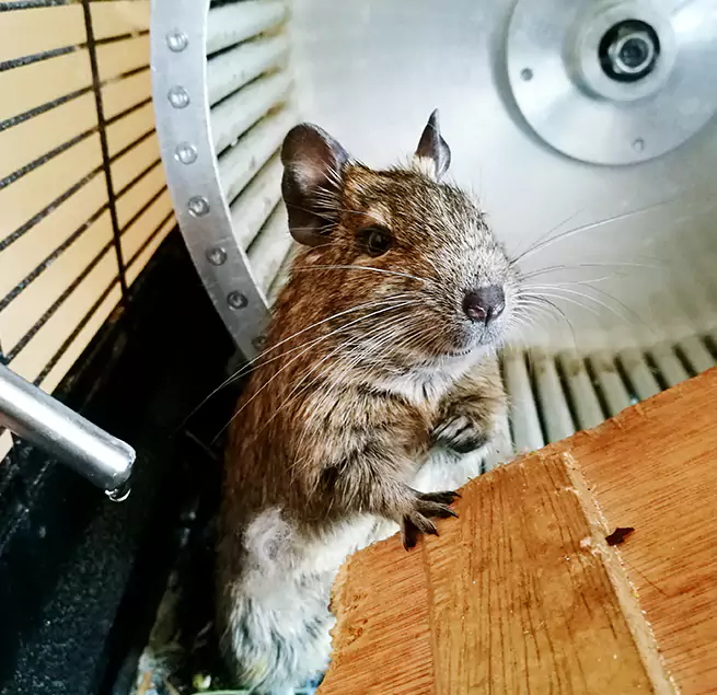 Why Homeowners & Businesses Trust Us Bayonet Point, FL