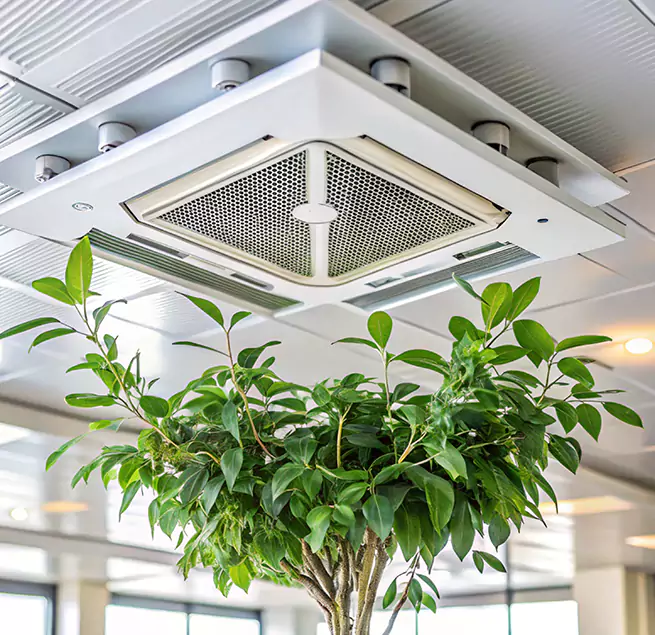 Why Homeowners & Businesses Trust Us in Bayonet Point, FL?